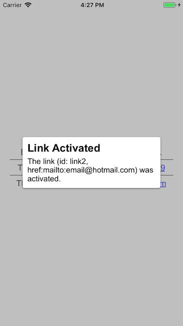 TestLink.iOS Email Link